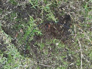 Robot cortacésped WORX como nuevo