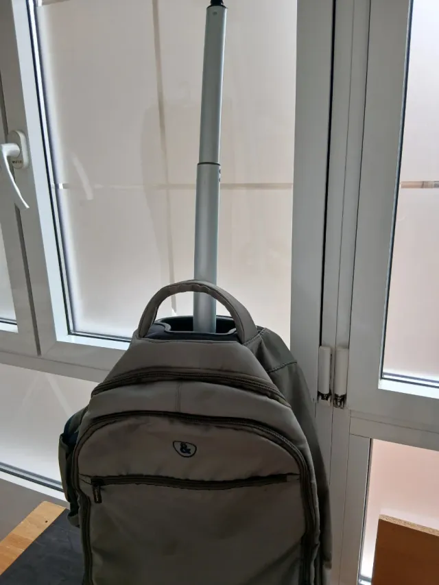 Mochila Eastpak ruedas y asa larga