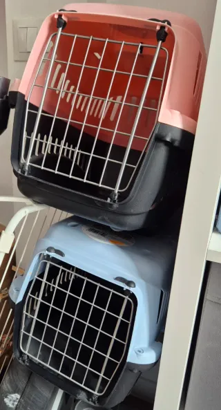 Transportines para gatos (2 unidades)
