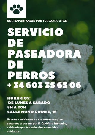 Passeo con su perro