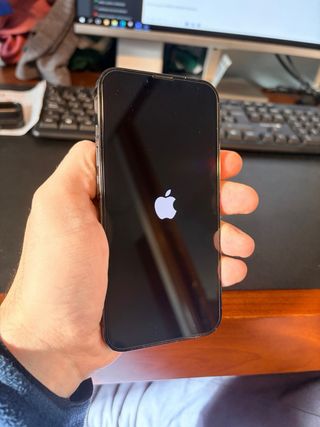 iPhone 13 Pro Gris Plata