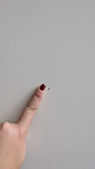 HOY Mesa de centro Ikea blanca