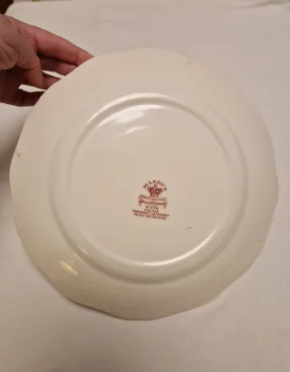 Antiguo plato Mason's Vista England