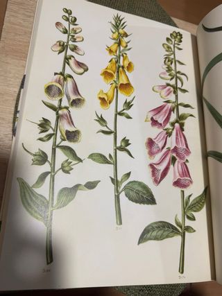 The Green Florilegium