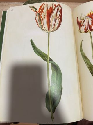 The Green Florilegium