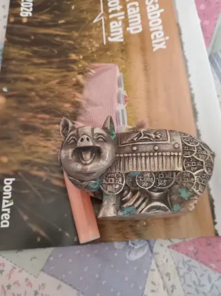 Cerdo de la suerte decorativo