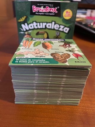 BrainBox Naturaleza Juego de Memoria