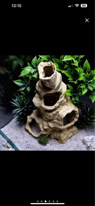 Cueva volcánica acuario / Terrario refugio