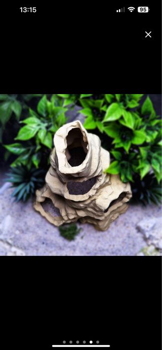 Cueva volcánica acuario / Terrario refugio