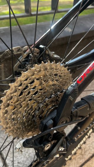 Orbea Wild Ebike FS 20 2019