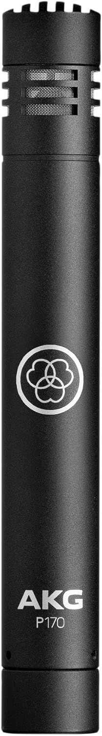 Sonorización de iglesias, salas de conferencias.