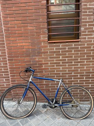 Bicicleta azul y plateada