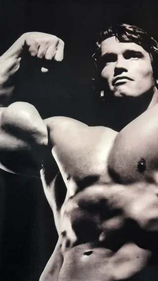 Bandera XXL Pumping Iron Arnold Schwarzenegger