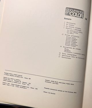 Rocas y Minerales / Fósiles / El Mundo de los Cris