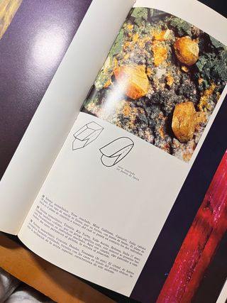 Rocas y Minerales / Fósiles / El Mundo de los Cris