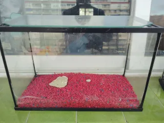 Acuario 60 litros y terrario 15 litros