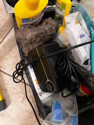 Acquario cubo 60 litri completo di qualsiasi cosa