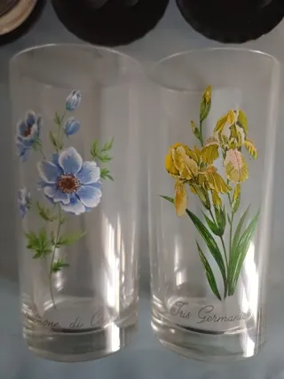 Set 6 Bicchieri bibite Vintage Fiori Pirografati