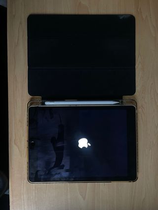 iPad Air 2 Space Gray