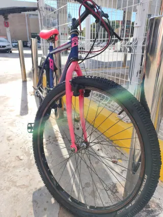 Bicicleta Montaña Morada y Rosa