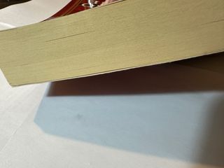 L'ultimo Catone (Romanzi)