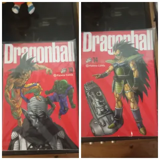 Dragón Ball 13 y 14