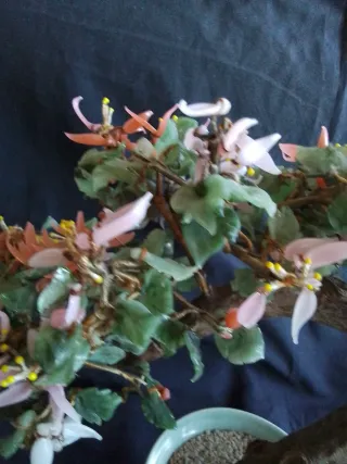 Árbol Bonsái de Jade