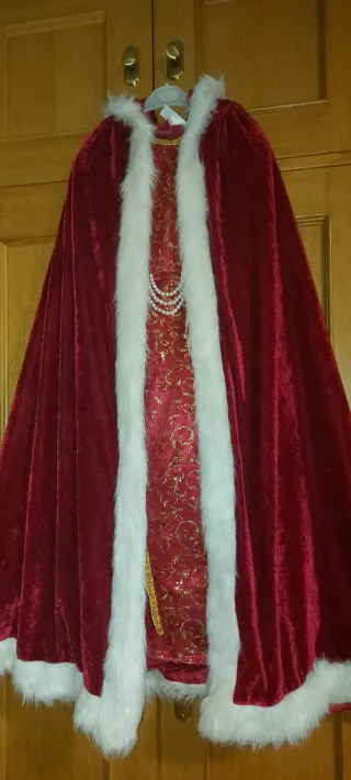 Disfraz Princesa Terciopelo Dorado