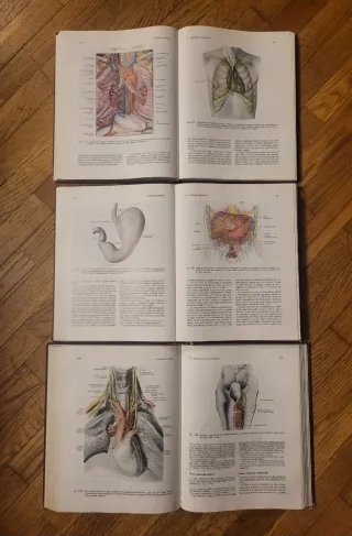 Trattato di Anatomia Umana Edi Ermes