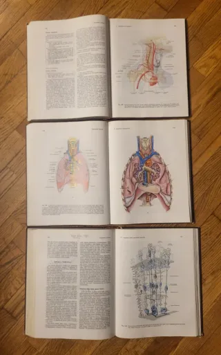 Trattato di Anatomia Umana Edi Ermes