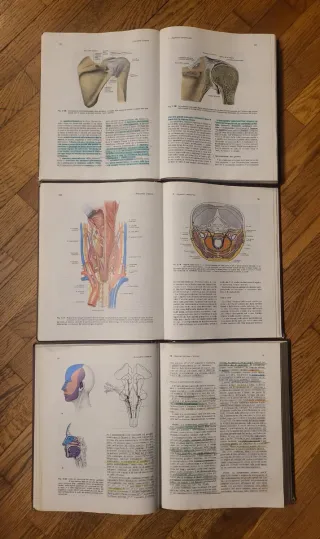 Trattato di Anatomia Umana Edi Ermes