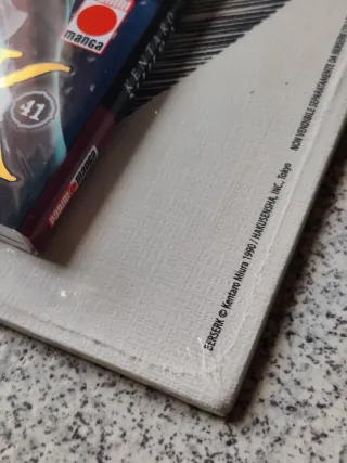 Berserk #41 (con lámina)