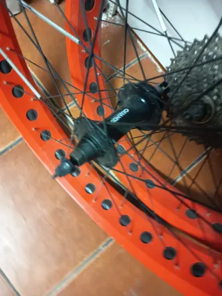 Llantas Fat Bike