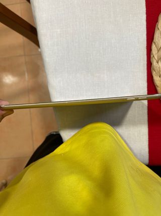 iPad Mini 4 Dorado y Blanco