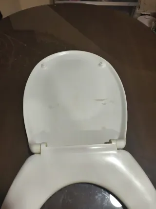 Tapa de WC Zen Piedras y Flores Rosas