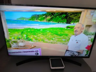 Televisión LG 43 Smart TV