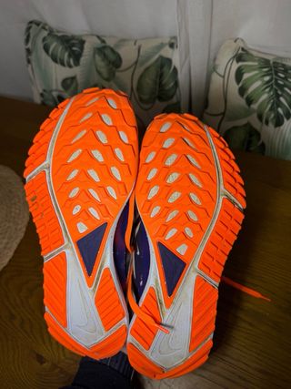 Nike Pegasus Trail 4 GTX V2 Beige/Naranja