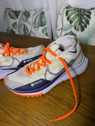 Nike Pegasus Trail 4 GTX V2 Beige/Naranja