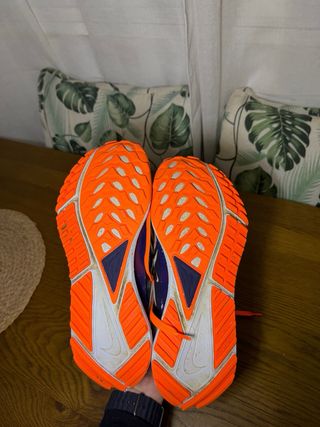 Nike Pegasus Trail 4 GTX V2 Beige/Naranja