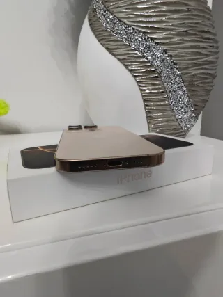iPhone 16 Pro Oro/Plata