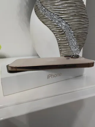 iPhone 16 Pro Oro/Plata