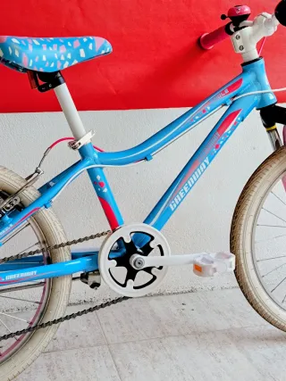 Bicicleta Niña Aluminio 20