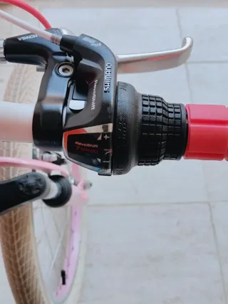 Bicicleta Niña Aluminio 20