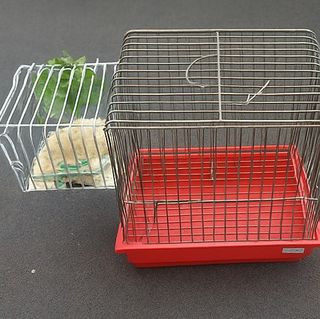 Lote Jaulas Cría Pájaros