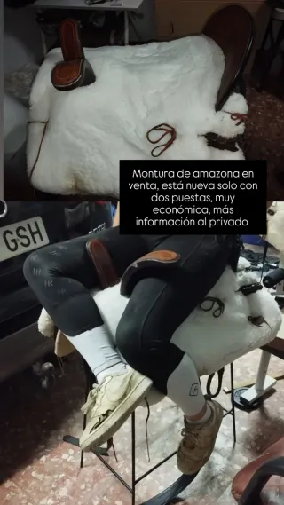 Montura de amazona en venta