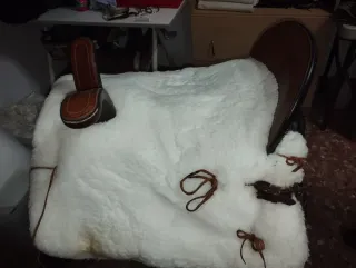 Montura de amazona en venta