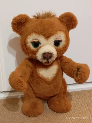 Oso de peluche Cubby