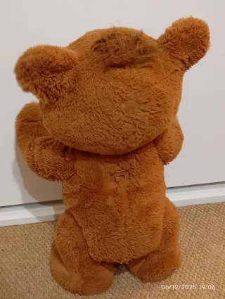 Oso de peluche Cubby