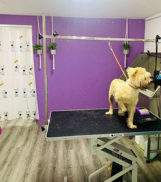 Local comercial en venta en Sant Josep en Hospitalet de Llobregat, L´