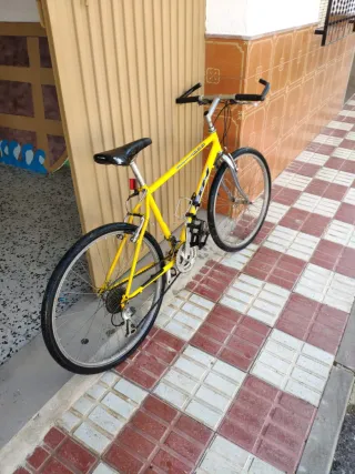 Bicicleta Amarilla Montaña